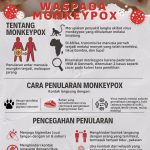 Infografis monkey pox