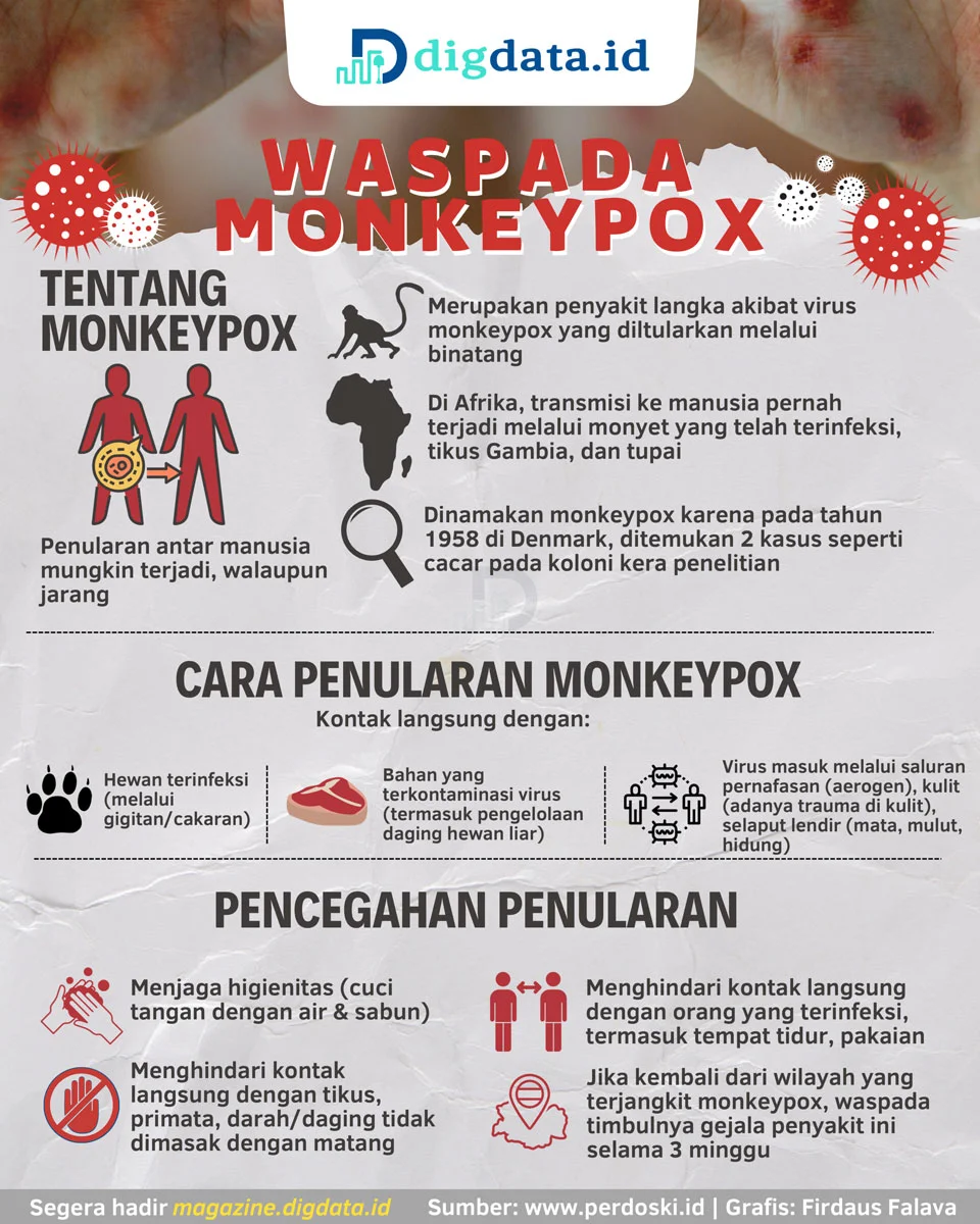 Infografis monkey pox