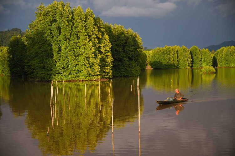 Hutan mangrove di Sayeung, Kampong Baroe, Kecamatan Setia Bakti, Kabupaten Aceh Jaya memiliki nilai ekonomi untuk nelayan setempat. Foto: Mutaqin/digdata.id