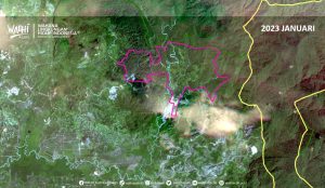 penampakan tutupan hutan pada Januari 2023. Foto.Dok WALHI 