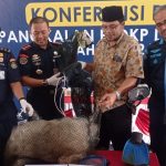 memperlihat barang bukti penangkapan dari pelaku pemboman ikan di perairan Pulau Aceh. Foto : Fitri / Digdata.id