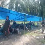Warga Teupun Tinggi, Kecamatan Trumon Kabupaten Aceh Selatan, masih bertahan dilokasi PT ASN, menuntut kejelasan lahan plasma desa, Minggu (18/05/2025). Poto : Dok Warga.