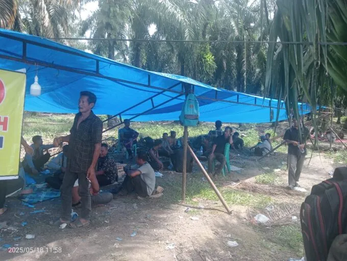 Warga Teupun Tinggi, Kecamatan Trumon Kabupaten Aceh Selatan, masih bertahan dilokasi PT ASN, menuntut kejelasan lahan plasma desa, Minggu (18/05/2025). Poto : Dok Warga.