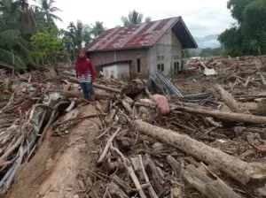 Kayu-kayu hasil pembalakan yang disapu banjir merusak pemukiman warga di Meuredu Pidie Jaya. 